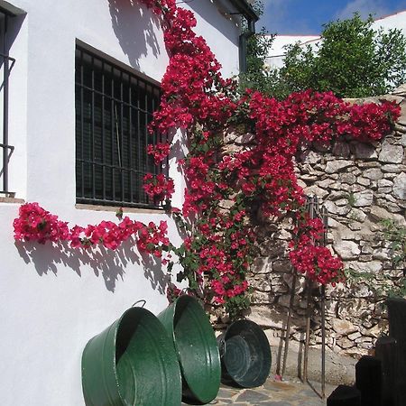 Casa Rural Y Restaurante Casa Adriano Alanís Exterior foto